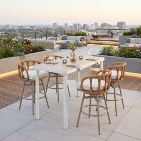 Safal Swivel Barstool Multicolor